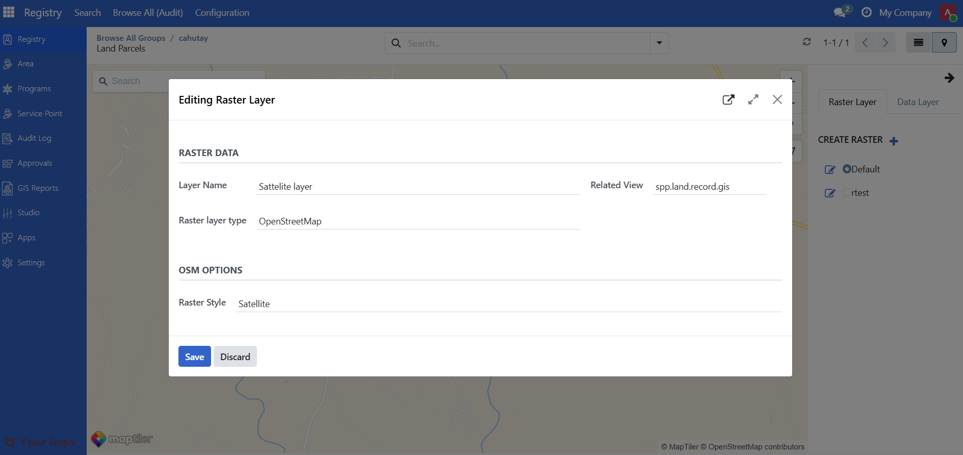 Raster layer configuration form showing layer name, type, and URL fields