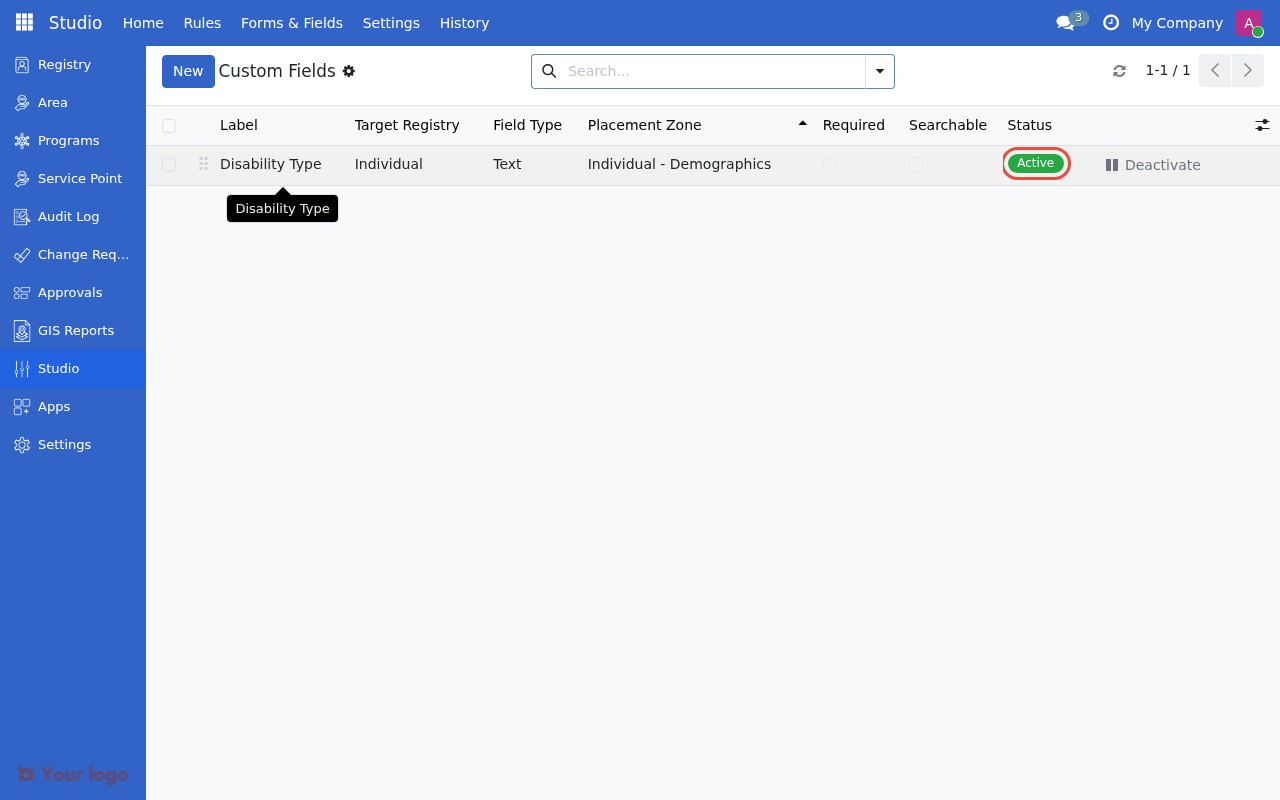 Custom Fields list with active field
